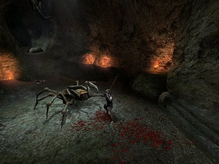 media/pim/the-witcher-pc-3546430130094_8.jpg