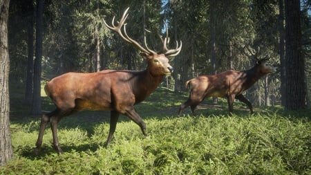 media/pim/thehunter-call-of-the-wild-game-of-the-year-edition-9120080073136_8.jpg