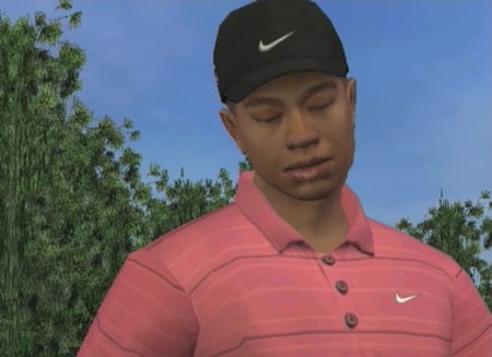 media/pim/tiger-woods-pga-tour-07-wii-5030931055126_11.jpg