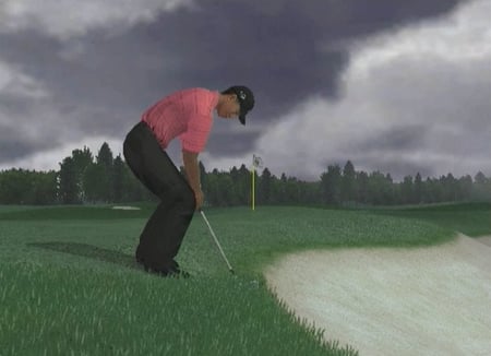 media/pim/tiger-woods-pga-tour-07-wii-5030931055126_8.jpg