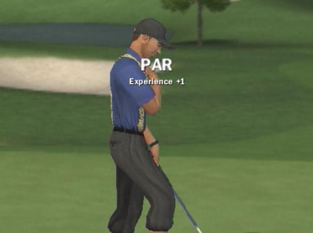 media/pim/tiger-woods-pga-tour-09-ps2-5030931066375_9.jpg