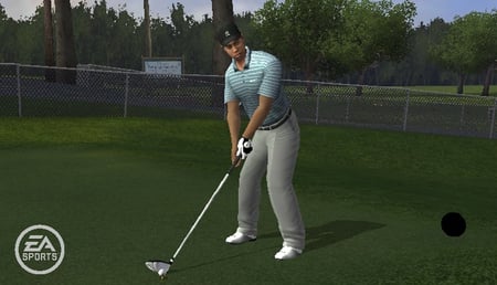 media/pim/tiger-woods-pga-tour-10-wii-5030931074318_2.jpg