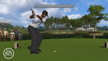 media/pim/tiger-woods-pga-tour-10-x360-5030931074325_11.jpg
