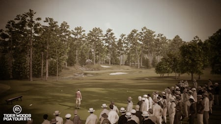 media/pim/tiger-woods-pga-tour-14-5030931110030_11.jpg