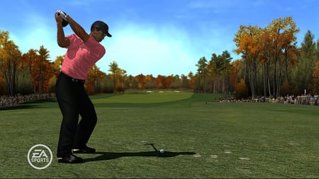 media/pim/tiger-woods-pgta-tour-08-x360-5030931057045_2.jpg