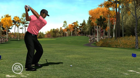 media/pim/tiger-woods-pgta-tour-08-x360-5030931057045_4.jpg