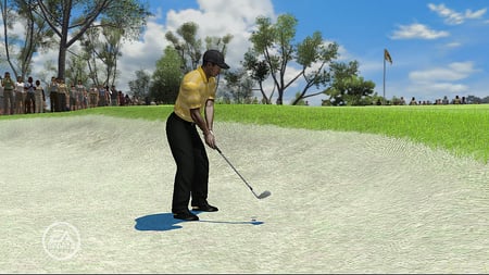 media/pim/tiger-woods-pgta-tour-08-x360-5030931057045_7.jpg