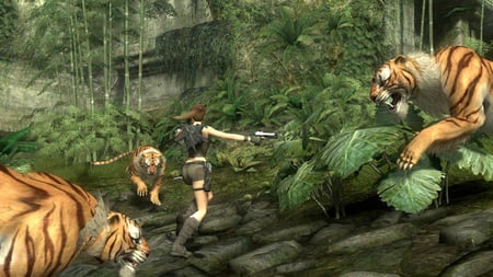 media/pim/tom-raider-underworld-essentials-edition-5021290053014_10.jpg
