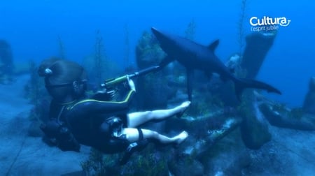 media/pim/tomb-raider-trilogy-5021290046597_5.jpg