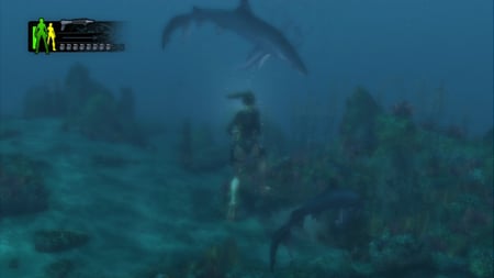 media/pim/tomb-raider-trilogy-5021290046597_7.jpg