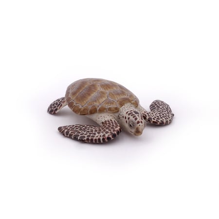 media/pim/tortue-caouanne-tortue-caouanne-3465000560058_8.jpg