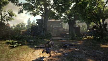 media/pim/toukiden-2-5060327533563_3.jpg