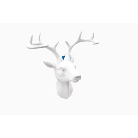 media/pim/trophee-cerf-a-decorer-3700408375782_3.JPG