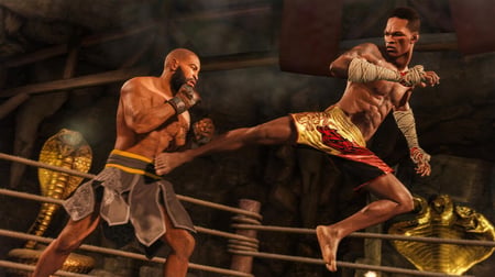 media/pim/ufc-4-5035224122493_7.jpg