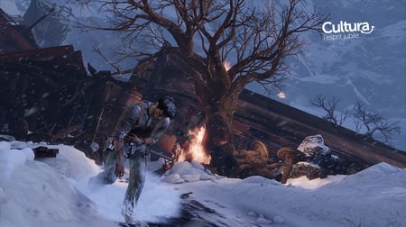 media/pim/uncharted-2-among-thieves-essential-0711719213161_4.jpg