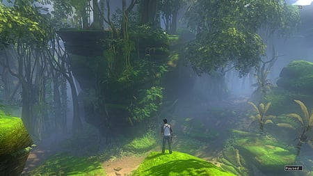 media/pim/uncharted-drake-s-fortune-ps3-0711719467052_2.jpg