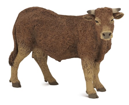 media/pim/vache-limousine-vache-limousine-3465000511319_0.jpg