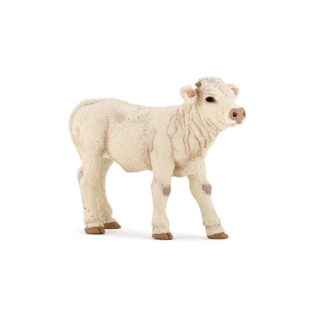 media/pim/veau-charolais-veau-charolais-3465000511579_0.jpg