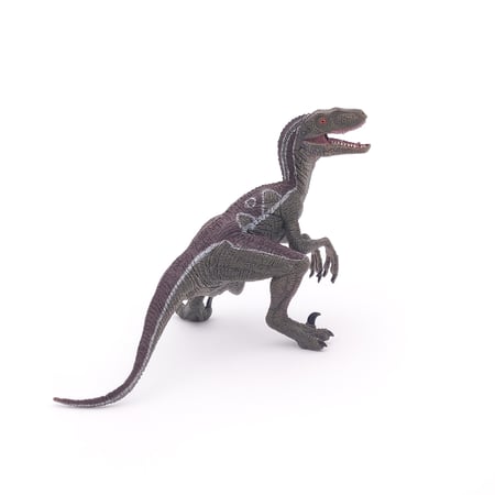 media/pim/velociraptor-3465000550233_10.jpg