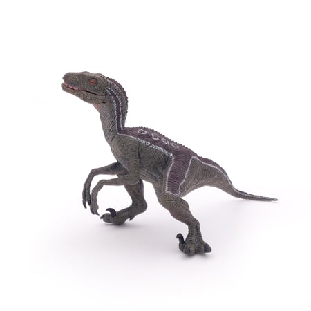 media/pim/velociraptor-3465000550233_6.jpg