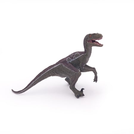 media/pim/velociraptor-3465000550233_9.jpg
