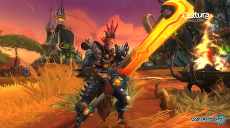media/pim/wildstar-5060094443706_4.jpg