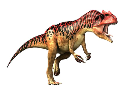 media/pim/wonderbook-sur-la-terre-des-dinosaures-wonderbook-0711719218388_6.jpg