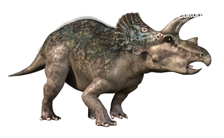 media/pim/wonderbook-sur-la-terre-des-dinosaures-wonderbook-0711719218388_7.jpg