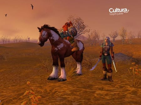 media/pim/world-of-warcraft-3348542193871_4.jpg