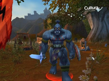 media/pim/world-of-warcraft-3348542193871_5.jpg