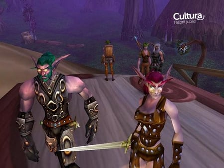 media/pim/world-of-warcraft-3348542193871_7.jpg