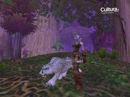 media/pim/world-of-warcraft-3348542193871_9.jpg