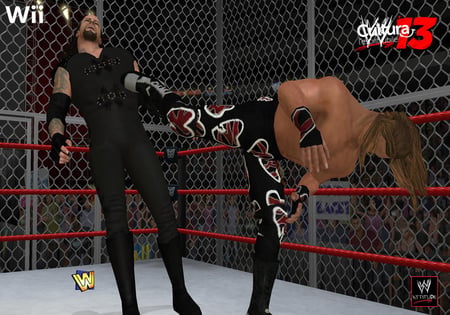 media/pim/wwe-13-4005209167109_5.jpg