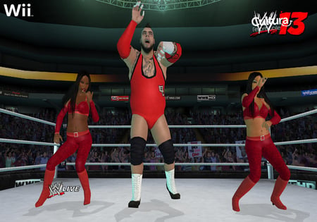 media/pim/wwe-13-4005209167109_9.jpg