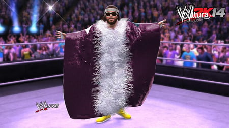media/pim/wwe-2k14-5026555413398_6.jpg