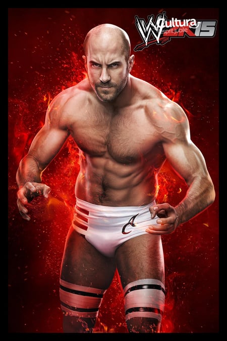 media/pim/wwe-2k15-5026555263276_4.jpg