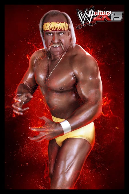 media/pim/wwe-2k15-5026555263276_5.jpg