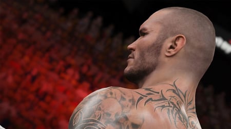 media/pim/wwe-2k15-5026555269841_8.jpg