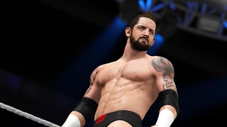 media/pim/wwe-2k16-5026555296922_7.jpg
