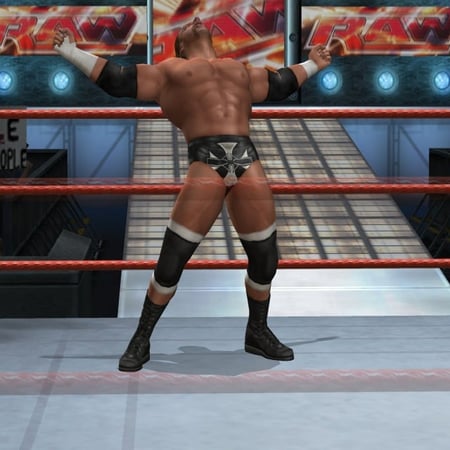 media/pim/wwe-smackdown-vs-raw-2008-ps2-4005209098779_3.jpg