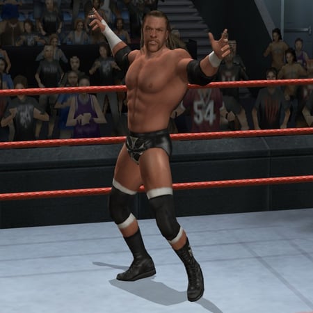 media/pim/wwe-smackdown-vs-raw-2008-ps2-4005209098779_4.jpg