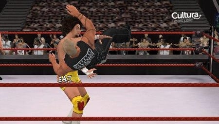 media/pim/wwe-smackdown-vs-raw-2008-psp-4005209098878_3.jpg