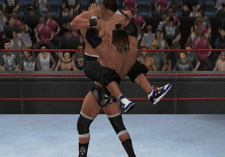 media/pim/wwe-smackdown-vs-raw-2008-wii-4005209098724_2.jpg