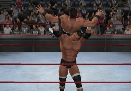 media/pim/wwe-smackdown-vs-raw-2008-wii-4005209098724_8.jpg