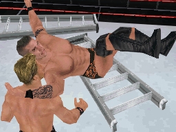 media/pim/wwe-smackdown-vs-raw-2009-ds-4005209108799_4.jpg
