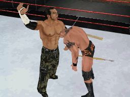 media/pim/wwe-smackdown-vs-raw-2009-ds-4005209108799_8.jpg