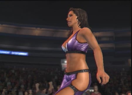 media/pim/wwe-smackdown-vs-raw-2009-ps2-4005209108904_11.jpg