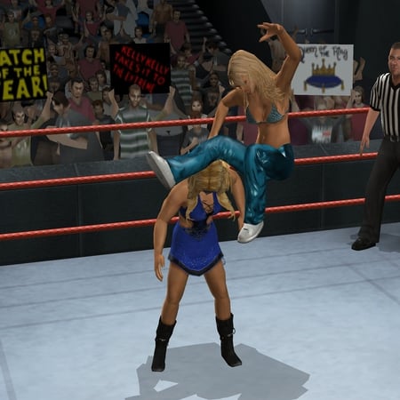media/pim/wwe-smackdown-vs-raw-2009-ps2-4005209108904_4.jpg