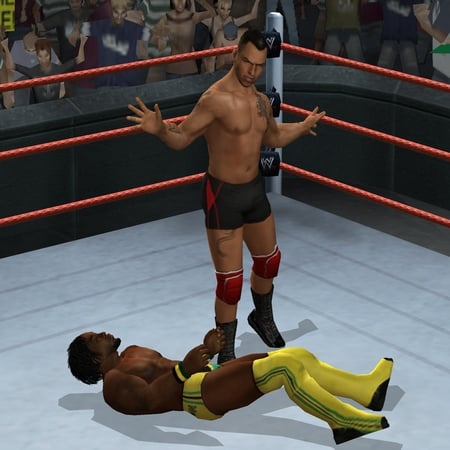 media/pim/wwe-smackdown-vs-raw-2009-ps2-4005209108904_5.jpg
