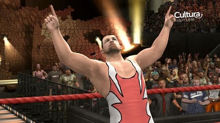media/pim/wwe-smackdown-vs-raw-2009-ps3-4005209109130_7.jpg